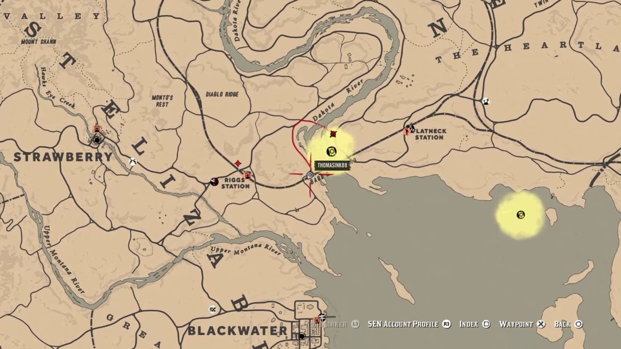 Red Dead Online Madame Nazar Chocolate Daisy location YouTube