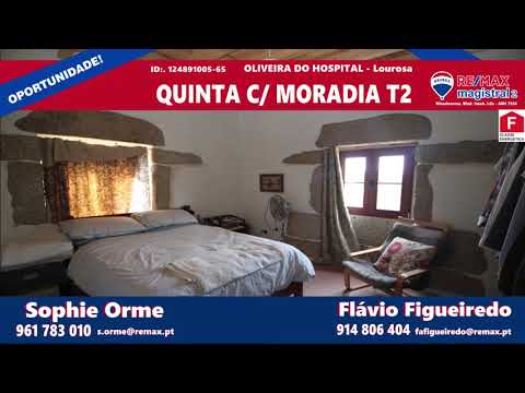 Quinta com Moradia T2 - Oliveira do Hospital - Lourosa