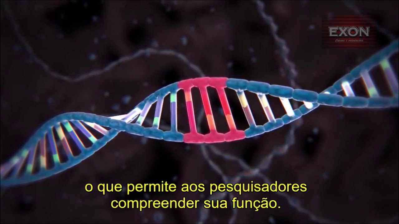 Sistema CRISPR-Cas9