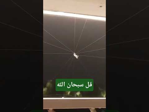 قل سبحان الله وضع سره في أضعف خلقه بناء بيت العنكبوت