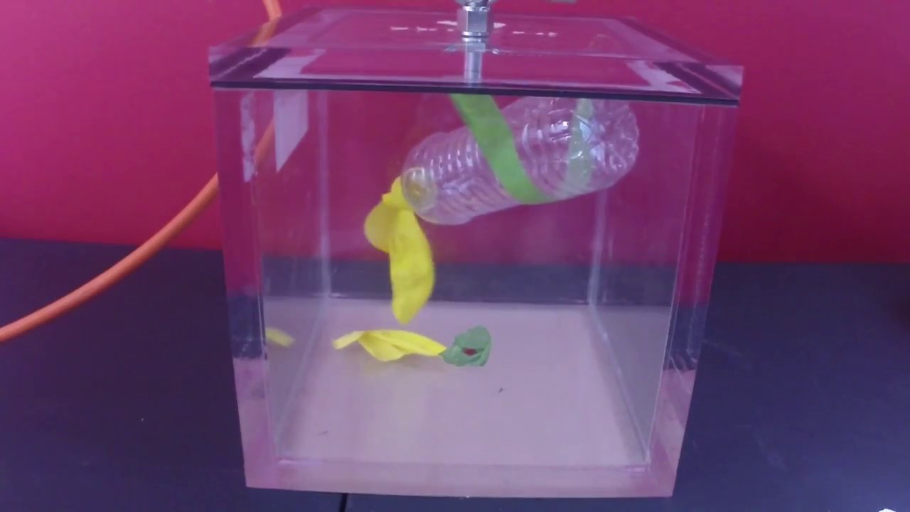 POPPED Vacuum Chamber Balloon YouTube