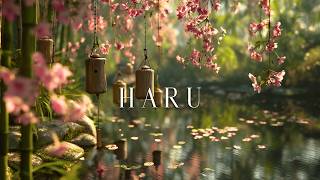 Haru - Forgotten Wind Chimes Sounds | Anti Stress Session