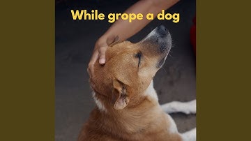 Fashionable Forgetting Mirrors