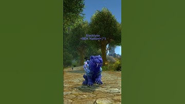 i have gotten all the rare druid forms that I wanted in Wow 🤩 (Dragonflight Season 4) #shorts