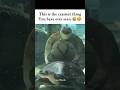 Tell me you didn't just laugh at this 😭💀 #turtle #turtlewatching #funniestanimals #comedyvideo