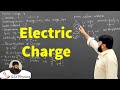 L2.3 Electric Charge: Properties, Conservation & Quantization | Electrodynamics | Griffiths
