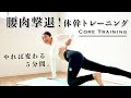 5分【腰肉撃退!】体幹トレーニング