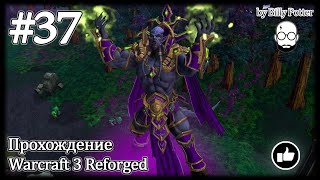 Сумерки Богов #37 | Warcraft 3: Reforged
