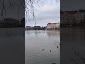 Прогулки - самый лучший отдых. #walking #helsinki #park #comewithme #travel #weekend #holidays #trip