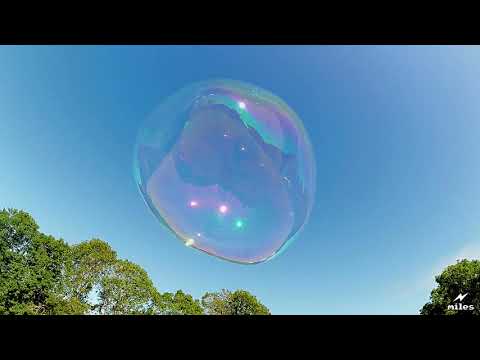 Giant Bubble in HD popped by a fly in slow-motion