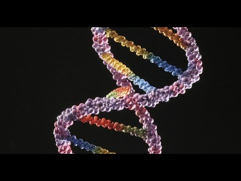 Код "Бессмертия" - "Код Бога" - "Волновая Генетика" / PETER GARIAEV ...