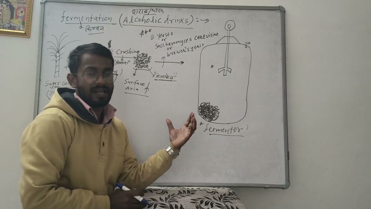 Microbes in human welfare - fermentation (alcohol formation)