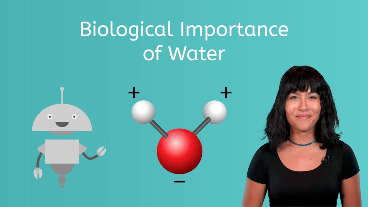 Biological Importance of Water - Biology for Teens!
