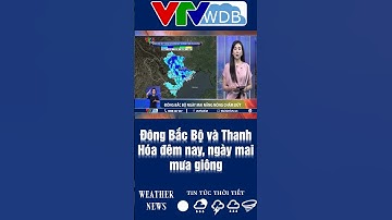 Đông Bắc Bộ và Thanh Hóa đêm nay, ngày mai mưa giông | VTVWDB