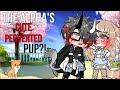 🐺~The alpha’s CUTE PERVERTED PUP?!~❤️ GLMM original Gachalife minimovie [GACHA]