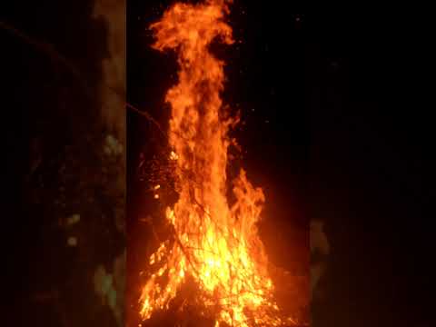Whatsapp Status || The biggest bonfire Viral story