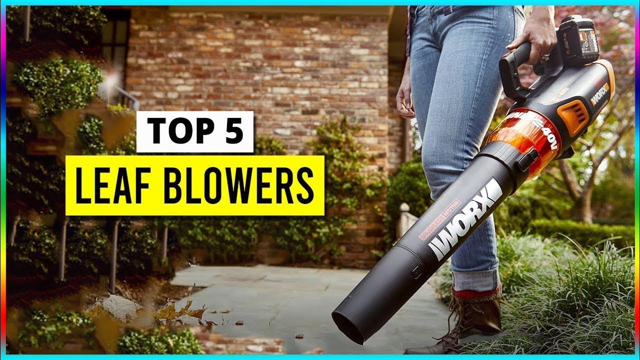 Best Leaf Blowers in 2025 Top 5 Picks YouTube