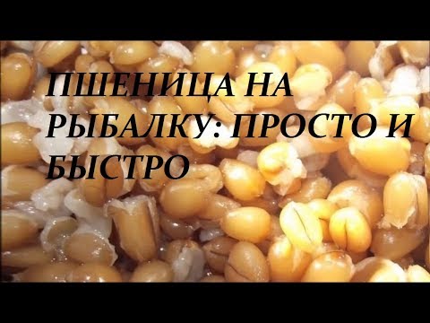 Рыбалка. Как приготовить пшеницу