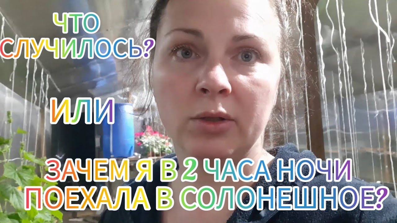 Неудачный поход к стомотологу/У нас +13 градусов/К Савелию приехал друг ...