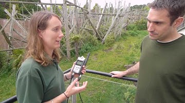 Student Resource - Studying Primate Communication