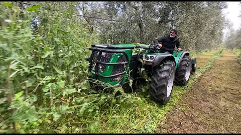 Trinciatutto Attila - Trincia erba