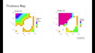 Lecture 6 - Analysis of Complex Objects - Part 2 Profile