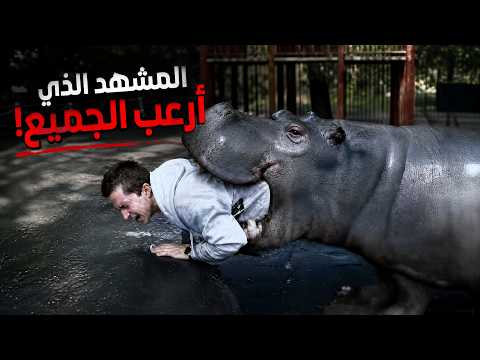 مرشد محترف دخل أخطر نهر في أفريقيا… وما حدث مع فرس النهر كان مرعبًا!