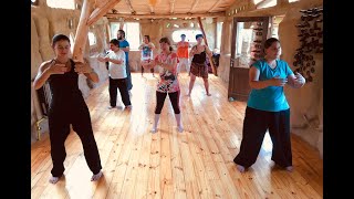 Wudang Xuan Wu Pai - Wu Xing Qi Gong (Qi Gong de los Cinco Animales)