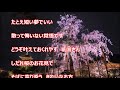 八坂恋物語(多岐川舞子)♪♪カバー(キー:♯3)