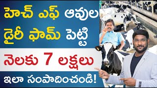 HF Cow Farming in Telugu - How to Start HF Cow Farming? | HF Cow Milk Per Day - HF Cow Benefits