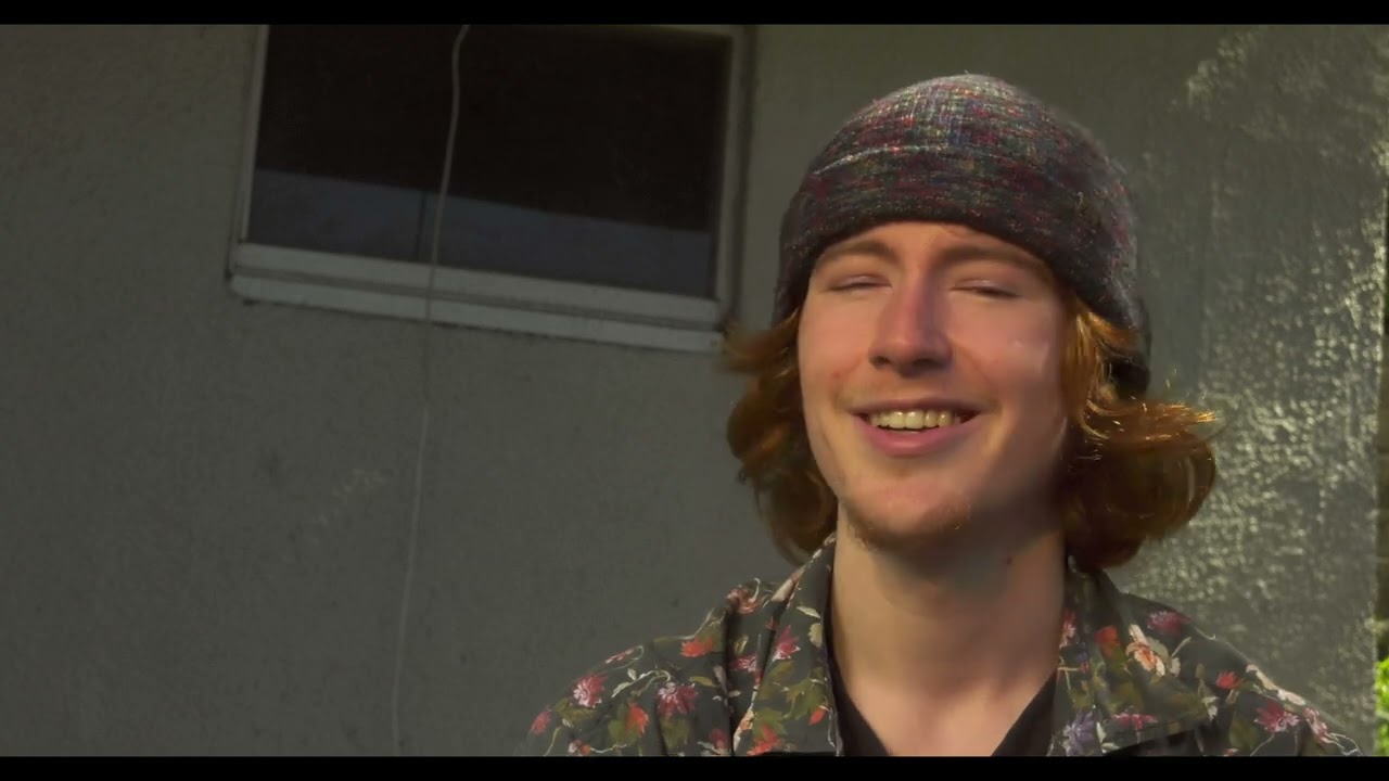 NZIFF Composition Flight of the Kiwi