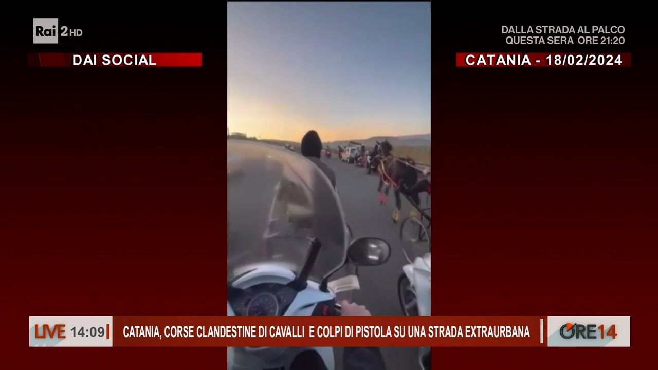 Catania, corse clandestine di cavalli e colpi di pistola  - Ore 14 del 20/02/2024