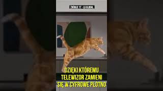 Przezroczysty Telewizor Już W Sprzedaży. Cena Powala