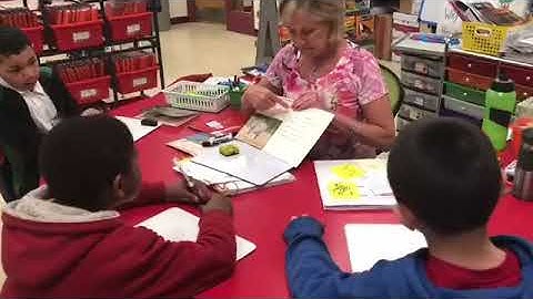 Level K: Using Glossary to write facts- our first time doing this