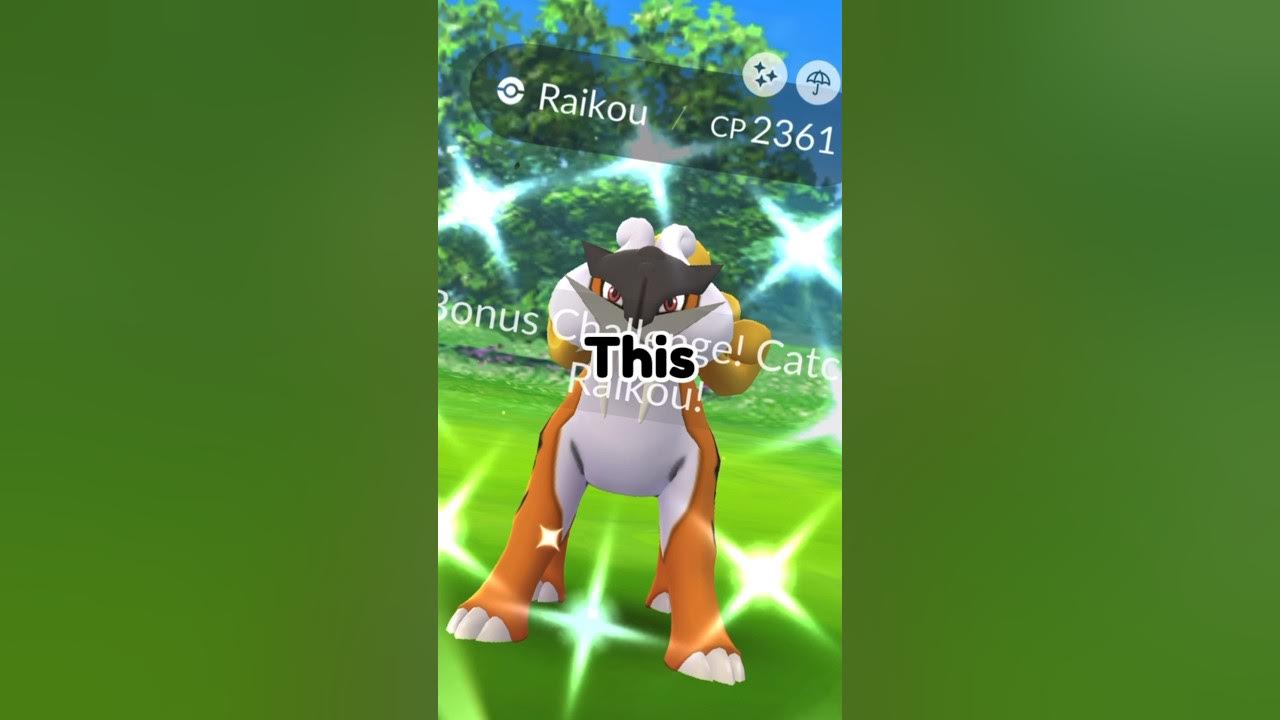 Shiny Raikou✨Lets go! Thanks @user2428088383565 👊🏼🕶 #raikou #gobatt