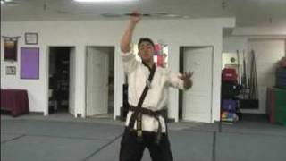 Martial Art Bo Staff Techniques : Bo Staff Palm Spin Techniques