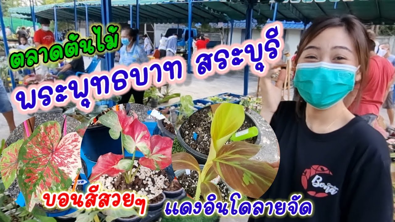 ตลาดนัดต้นไม้พระพุทธบาท สระบุรี