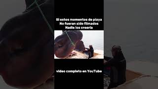 Si Estos Momentos De Playano Fueran Sido Filmados Nadie Los Creera animal vidasilvestre