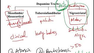 USMLE ACE Video 202: Dopamine Pathways, Synthesis, and Pharmacological Agents