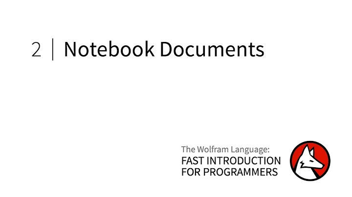 Fast Introduction for Programmers: Notebook Documents