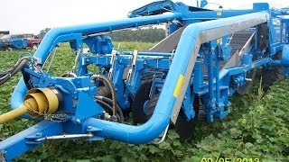 Standen TSP1900 Sweet Potato Harvester in the United States of America