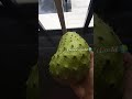 Soursop sarbath  vareity sarbath  fresh juice  variety juice  recipes limrasworld 