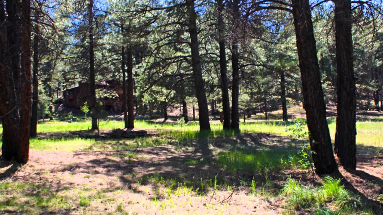 3642 Canyon Loop Flagstaff Real Estate Kachina Village Cabin YouTube
