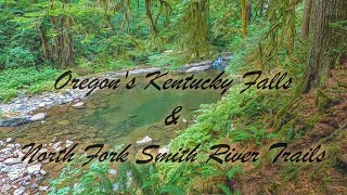 Hiking Kentucky Falls & North Fork Smith River Trails Oregon | Old growth forest