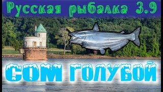 Русская рыбалка 3.9. Сом голубой. Миссисипи. Русская рыбалка 3.9. Сом голубой. Миссисипи.