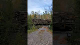 Would You Live Here As Freight Trains Fly By This Private Driveway?! #trains #shorts | Jason Asselin