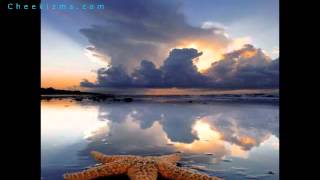 Save a Starfish - Help