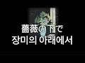 다시 만나는 그날까지. 타요리(tayori)-장미의 아래에서(薔薇の下で)