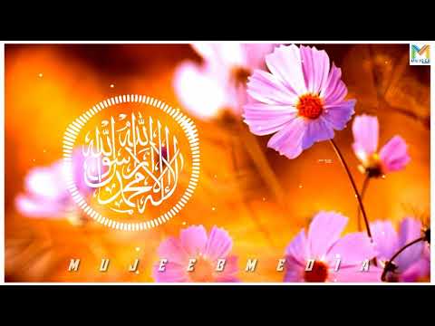 islamic-song-whatsapp-status-|-madh-song-|-islamic-song-malayalam-|-madh-song-whatsapp-status