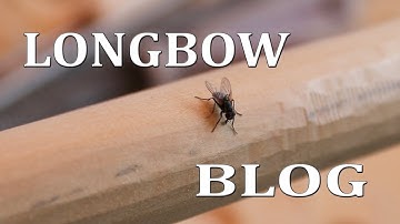 Yew English Longbow making blog, this week in the workshop